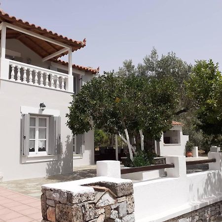 Villa Tillia Panormos  Buitenkant foto