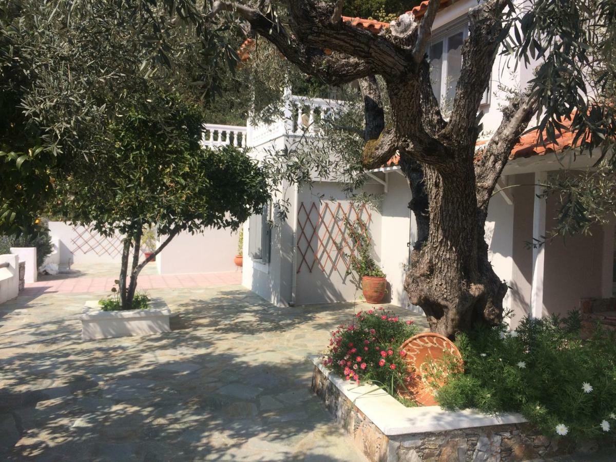 Villa Tillia Panormos  Buitenkant foto