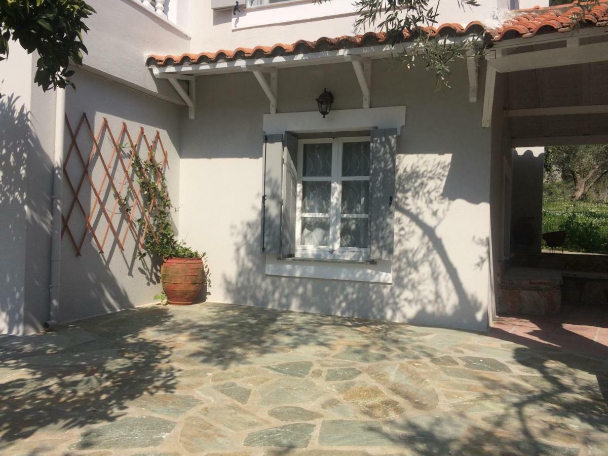 Villa Tillia Panormos  Buitenkant foto